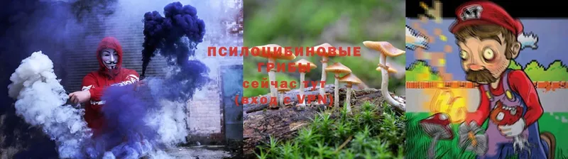 Псилоцибиновые грибы Cubensis  магазин    Советский 